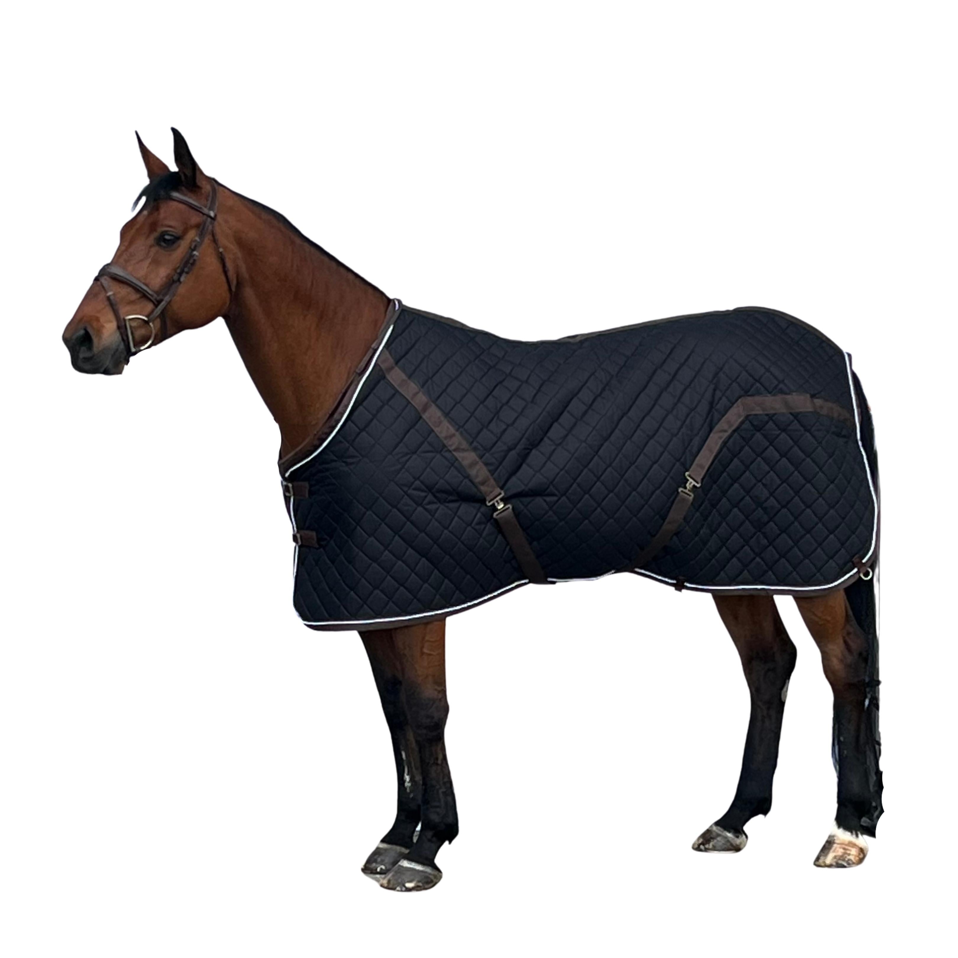 Buy Custom Horse Blankets Online Ride Every Stride Inc